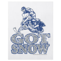 Got-Snow-Distressed-GreyBlu Flyers
