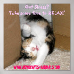 Got Stress? CUTE KITTEN POSTER posters