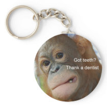 Got Teeth? Humourous Dentists