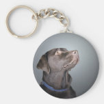 Got to Love a Lab Key Chain