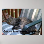 Got to love those lazy days posters