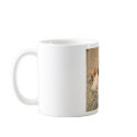 Got Treats? mugs