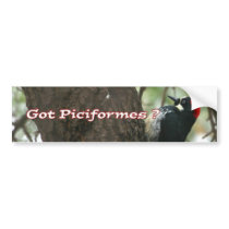 Got Woodpeckers? Bumper Sticker
