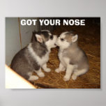 GOT YOUR NOSE POSTER