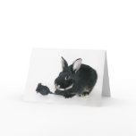 Goth Bunny Valentine cards