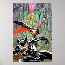 Gotham City Sirens Cv11 Poster