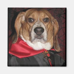 Gothic Beagle Dogula Magnet