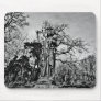 Gothic cemetery virgin Mary and baby Jesus statue Mouse Mats