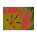 Gothic Gloomy Red Tulip Postcard