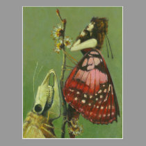 Gothic Grim Moth Lady  Postcard postcards