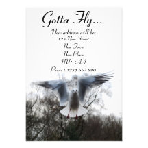 Gotta Fly - New Address Cards Invitations