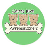 Gotta Love Affenpinschers