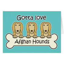 Gotta Love Afghan Hounds