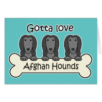 Gotta Love Afghan Hounds