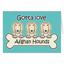 Gotta Love Afghan Hounds