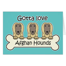 Gotta Love Afghan Hounds