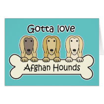 Gotta Love Afghan Hounds
