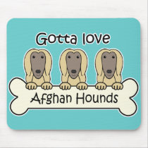 Gotta Love Afghan Hounds