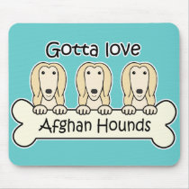 Gotta Love Afghan Hounds