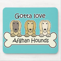 Gotta Love Afghan Hounds