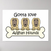 Gotta Love Afghan Hounds
