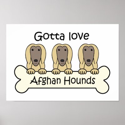 Gotta Love Afghan Hounds Posters by dogcartoons