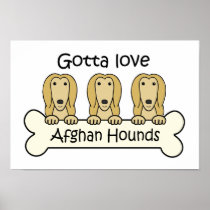Gotta Love Afghan Hounds