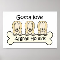 Gotta Love Afghan Hounds