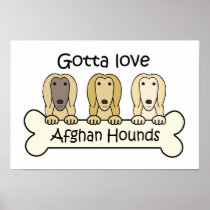 Gotta Love Afghan Hounds