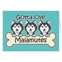 Gotta Love Malamutes