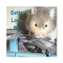 Gotta Love Me magnets