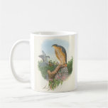 Gould - Accipiter nisus Sparrowhawk B/store Promo Mugs