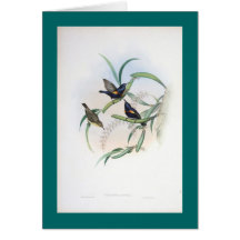 Gould - Asiatic Sunbird Greeting Card