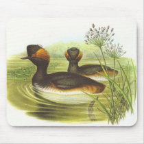 Gould - Black-Necked Grebe Podiceps nigricollis Mouse Pad