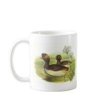 Gould - Black-Necked Grebe Podiceps nigricollis Coffee Mug