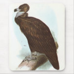 Gould - Black Vulture - Aegypius monachus Mouse Pads