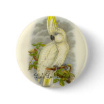 Gould - Blue-Eyed Cockatoo Bookstore Promo buttons