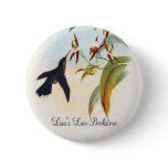 Gould - Broad-Shafted Sabrewing Hummingbird Button