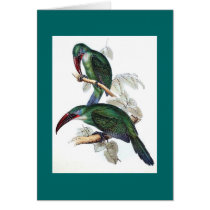 Gould - Groove-Bill Aracari Toucan Greeting Card