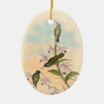 Gould Hummingbird and Orchids Ornament