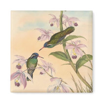 Gould Hummingbirds and Orchids Magnet