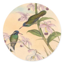 Gould Hummingbirds and Orchids Sticker