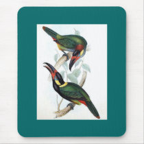 Gould - Koulik Aracari Toucan Mouse Mats