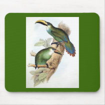 Gould - Langdorf's Aracari Toucan Mouse Pad