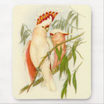 Gould - Leadbetter's Cockatoo mousepads