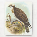 Gould - Osprey - Pandion haliaetus Mouse Pads