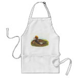 Gould - Red-Crested Pochard - Netta rufina aprons