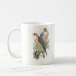 Gould - Red-Naped Falcon Bookstore Promo Mug