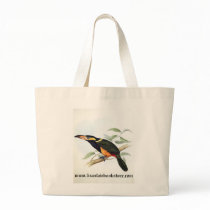 Gould - Reinwardt's Aracari Toucan Canvas Bag