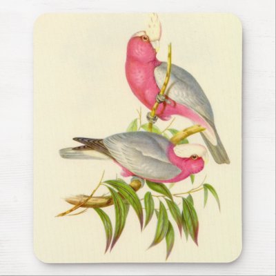 Gould - Rose-Breasted Cockatoo Mouse Mat by LisasLair